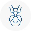 Ant Removals In Haverhill