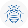 Bed Bug Extermination In Haverhill