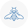 Bee Nest Removal Haverhill