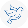 Bird Prevention Haverhill