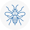 Haverhill Hornet Nest Removals