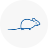Mice Exterminators In Haverhill