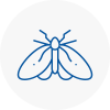 Moth Control Specialists In Haverhill