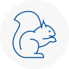 Haverhill Rodent Removals